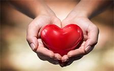 z6.com(中国区)官方网站